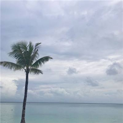 武林之王果盘版下载